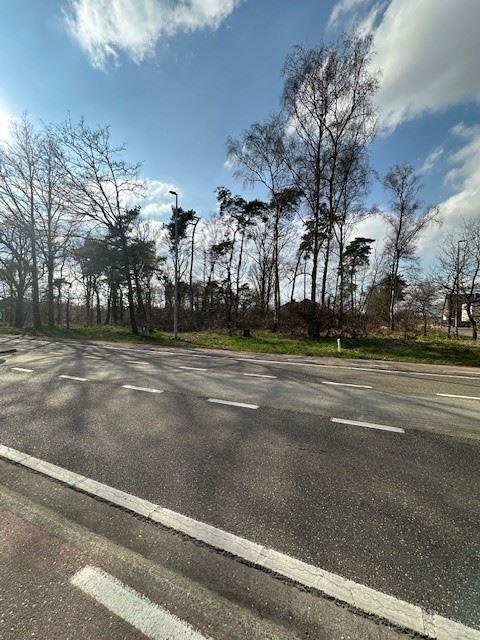 afbeelding van het pand